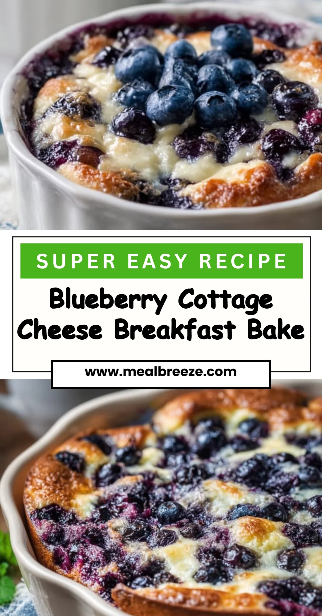 Blueberry Cottage Cheese Breakfast Bake