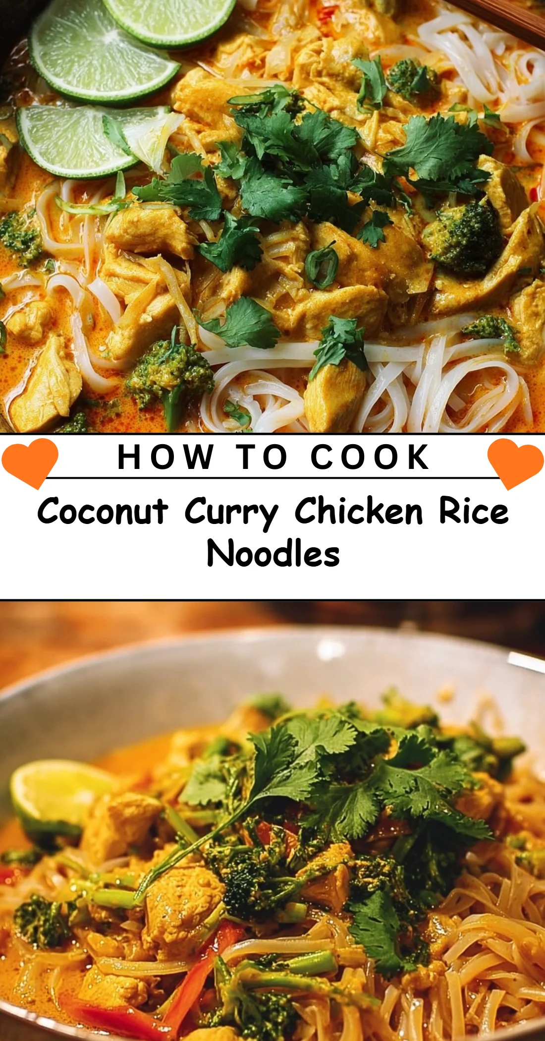 Coconut Curry Chicken Rice Noodles