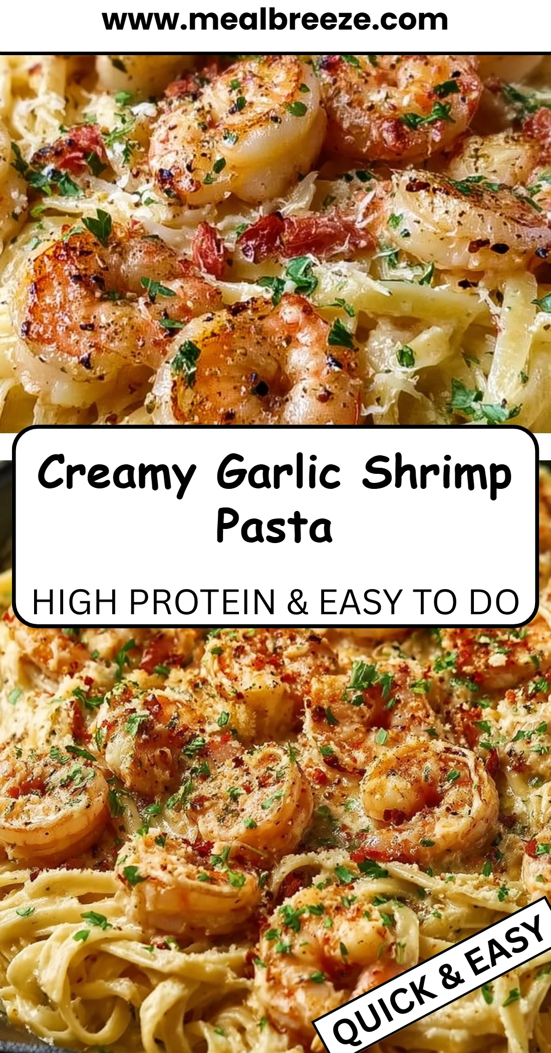 Creamy Garlic Shrimp Pasta