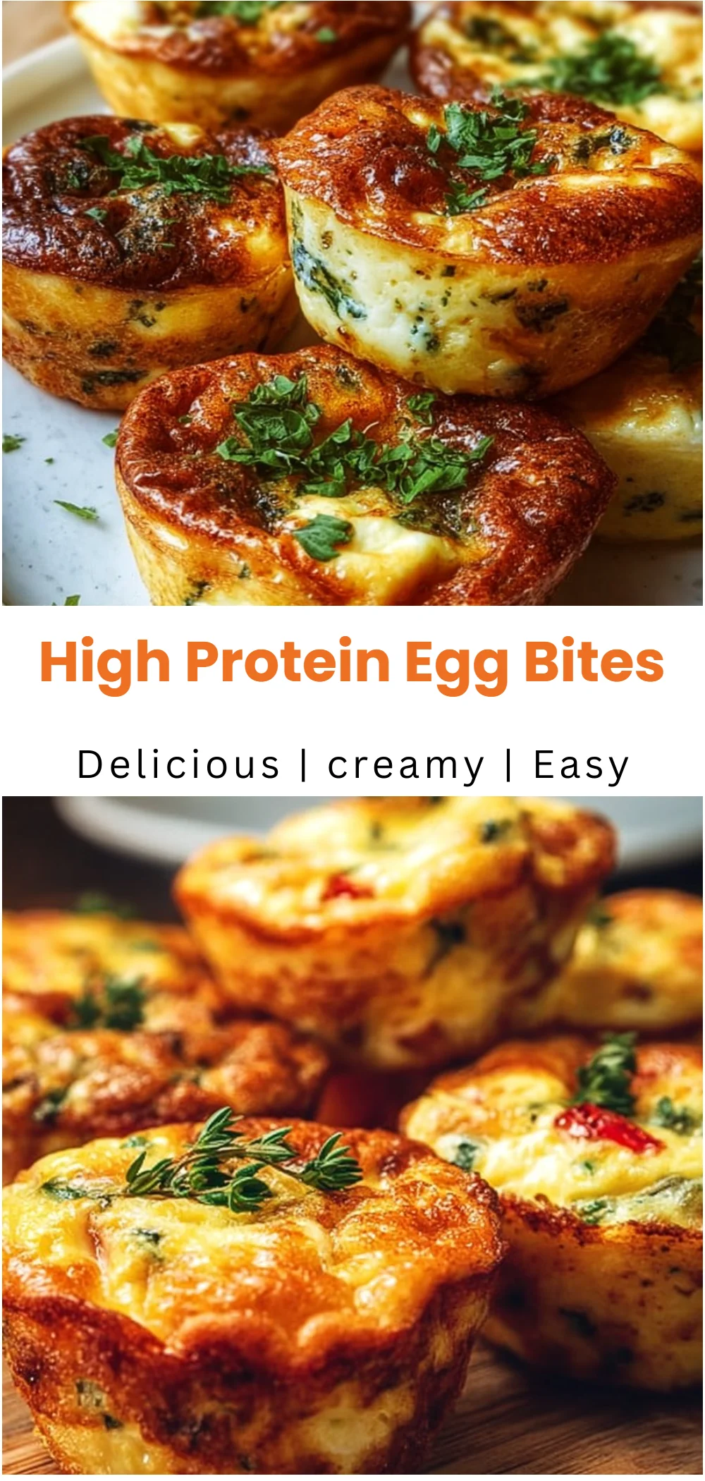 High Protein Egg Bites