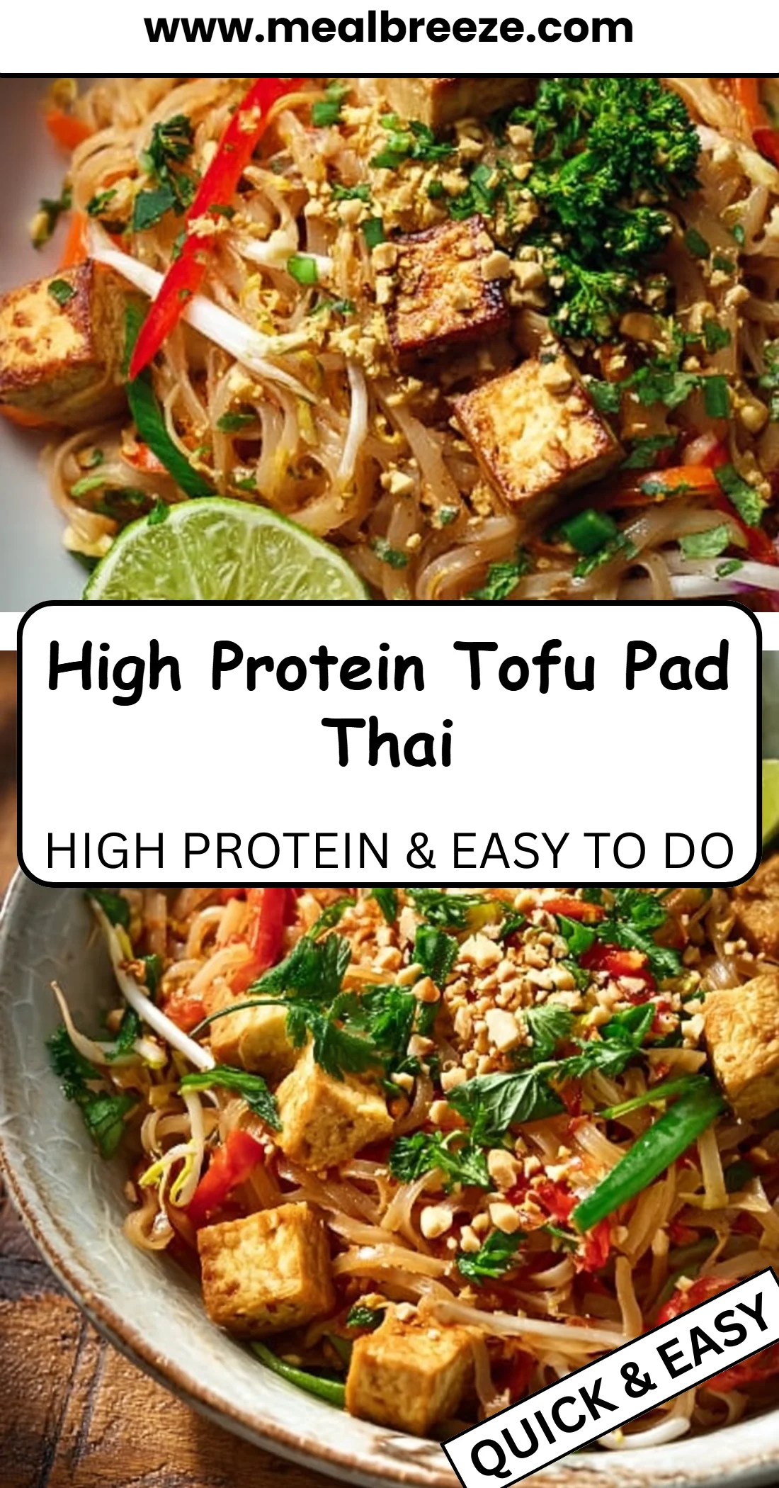 High Protein Tofu Pad Thai 4 High Protein Tofu Pad Thai