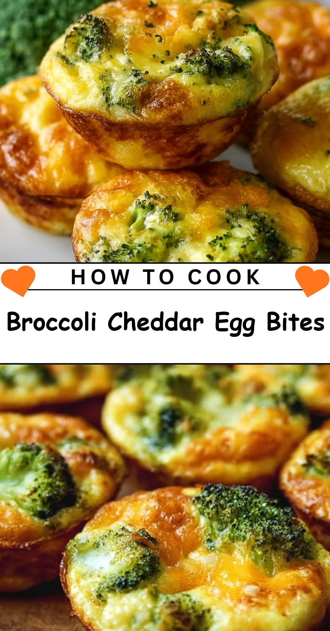 Broccoli Cheddar Egg Bites 4 Broccoli Cheddar Egg Bites