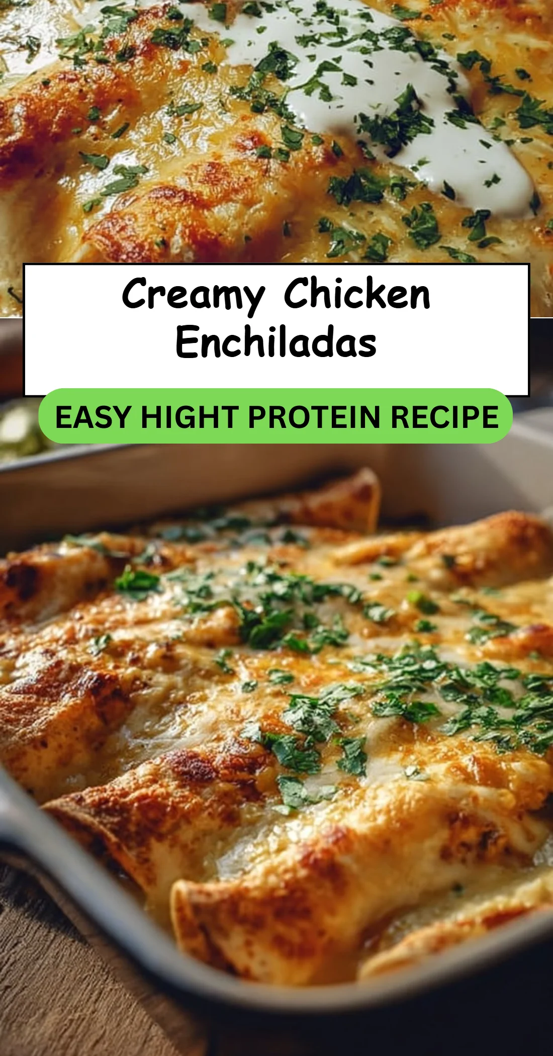 Creamy Chicken Enchiladas 4 Creamy Chicken Enchiladas